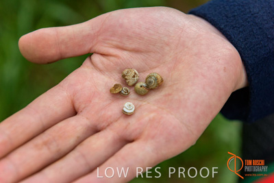 September 2017 / VITERRA_GCA_CHINESE_GOV_VISIT_187_170902