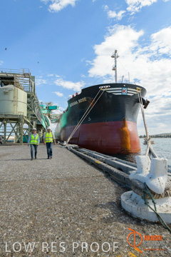 November 2017 / ADRIANA_ROSE_PL_006_171121_TRP6274