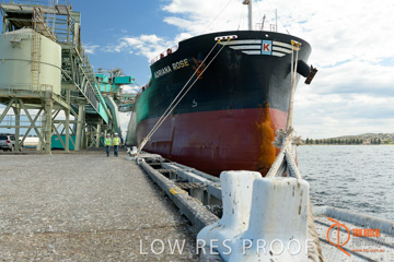 November 2017 / ADRIANA_ROSE_PL_033_171121_TRP6333