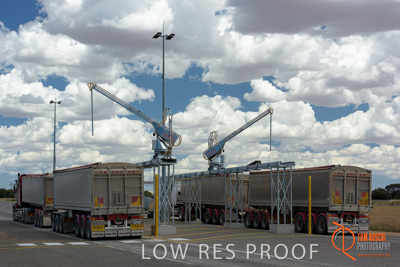 November 2017 / AUTO_SAMPLE_TUMBY_040_171121_TRP8599