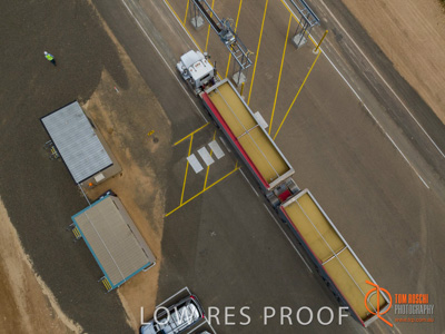 November 2017 / TUMBY_AUTO_SAMPLING_045_171121