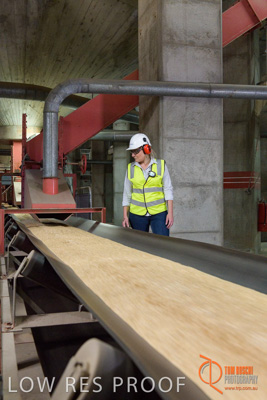 November 2017 / CONVEYOR_PL_086_171121_TRP6140