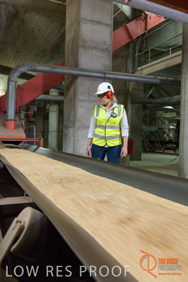 November 2017 / CONVEYOR_PL_089_171121_TRP6145