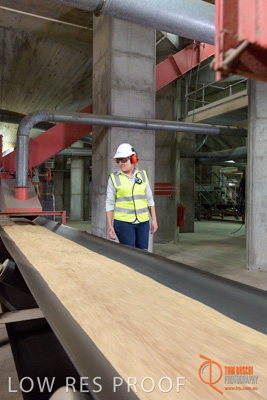 November 2017 / CONVEYOR_PL_099_171121_TRP6159