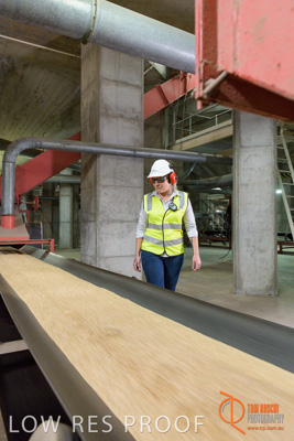 November 2017 / CONVEYOR_PL_103_171121_TRP6165