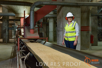 November 2017 / CONVEYOR_PL_117_171121_TRP6208