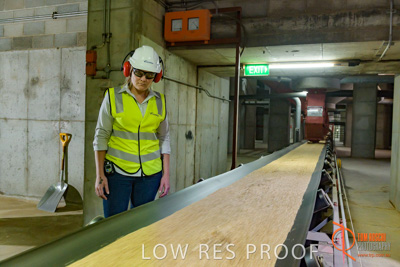 November 2017 / CONVEYOR_PL_125_171121_TRP6231