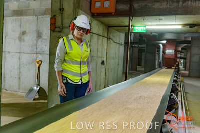 November 2017 / CONVEYOR_PL_127_171121_TRP6234