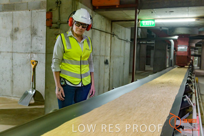 November 2017 / CONVEYOR_PL_128_171121_TRP6235