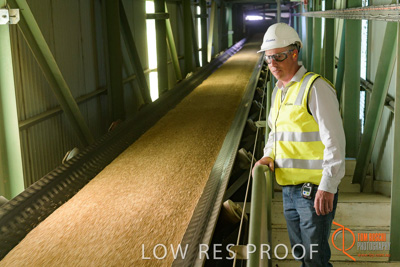 November 2017 / CONVEYOR_PL_142_171121_TRP6461