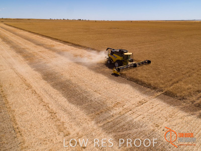 November 2017 / EP_HARVEST_AM_038_171121