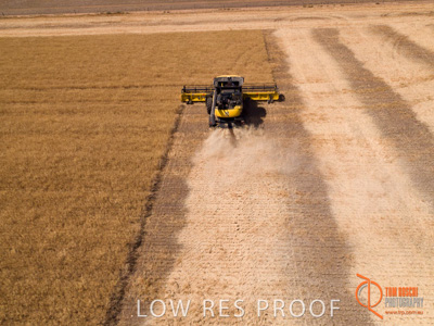 November 2017 / EP_HARVEST_AM_053_171121