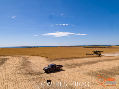 November 2017 / EP_HARVEST_AM_071_171121