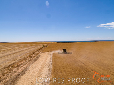 November 2017 / EP_HARVEST_AM_083_171121