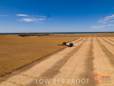 November 2017 / EP_HARVEST_AM_104_171121