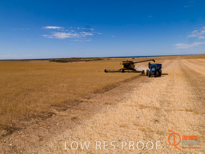 November 2017 / EP_HARVEST_AM_116_171121