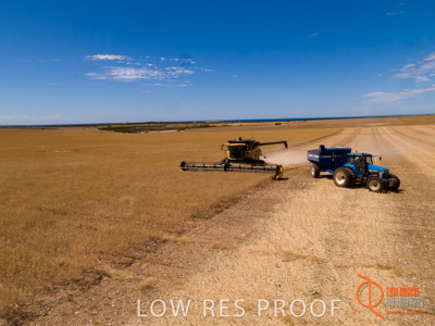 November 2017 / EP_HARVEST_AM_122_171121