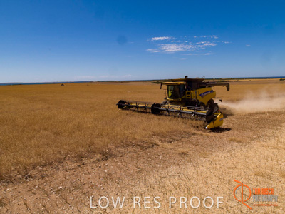 November 2017 / EP_HARVEST_AM_128_171121