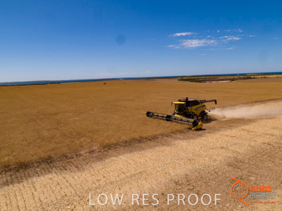 November 2017 / EP_HARVEST_AM_137_171121