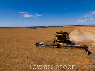 November 2017 / EP_HARVEST_AM_149_171121