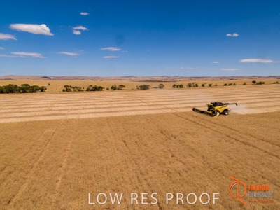 November 2017 / EP_HARVEST_AM_185_171121