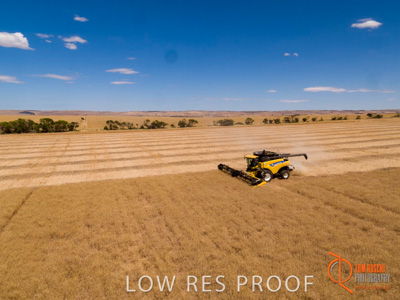 November 2017 / EP_HARVEST_AM_191_171121