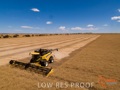 November 2017 / EP_HARVEST_AM_215_171121