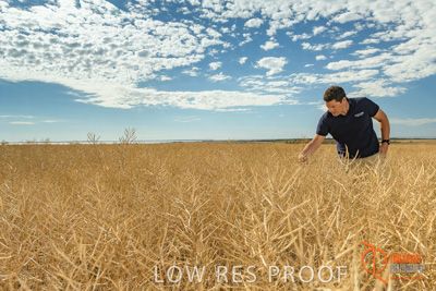 November 2017 / HARVEST_TUMBY_AM_002_171121_TRP5652