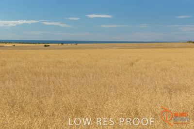 November 2017 / HARVEST_TUMBY_AM_003_171121_TRP5619