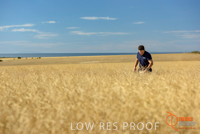 November 2017 / HARVEST_TUMBY_AM_009_171121_TRP8341