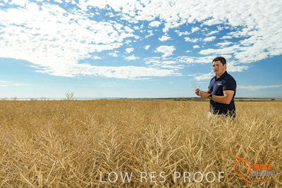 November 2017 / HARVEST_TUMBY_AM_026_171121_TRP5655