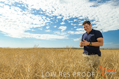 November 2017 / HARVEST_TUMBY_AM_030_171121_TRP5664