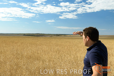 November 2017 / HARVEST_TUMBY_AM_050_171121_TRP5690