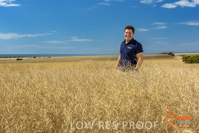 November 2017 / HARVEST_TUMBY_AM_074_171121_TRP8385