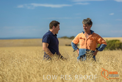 November 2017 / HARVEST_TUMBY_AM_088_171121_TRP8407