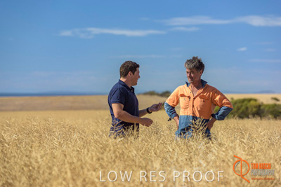 November 2017 / HARVEST_TUMBY_AM_089_171121_TRP8408