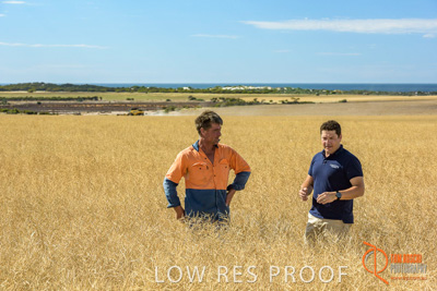 November 2017 / HARVEST_TUMBY_AM_101_171121_TRP8430