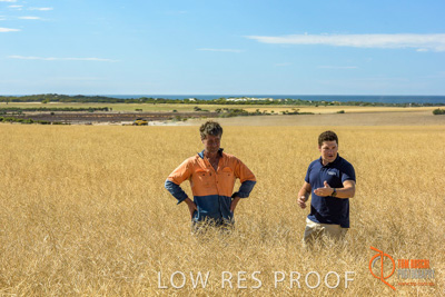 November 2017 / HARVEST_TUMBY_AM_102_171121_TRP8431