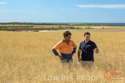 November 2017 / HARVEST_TUMBY_AM_103_171121_TRP8433