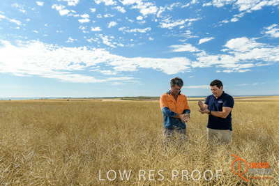 November 2017 / HARVEST_TUMBY_AM_109_171121_TRP5731