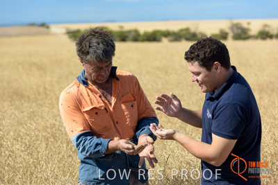 November 2017 / HARVEST_TUMBY_AM_128_171121_TRP8442