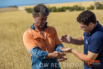 November 2017 / HARVEST_TUMBY_AM_129_171121_TRP8443