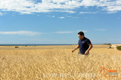 November 2017 / HARVEST_TUMBY_AM_132_171121_TRP8453