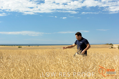 November 2017 / HARVEST_TUMBY_AM_133_171121_TRP8454