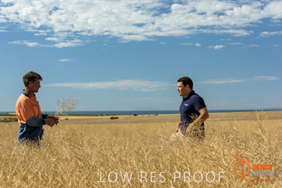 November 2017 / HARVEST_TUMBY_AM_136_171121_TRP8460