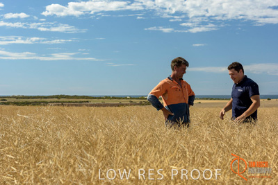 November 2017 / HARVEST_TUMBY_AM_141_171121_TRP8467