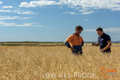 November 2017 / HARVEST_TUMBY_AM_142_171121_TRP8468