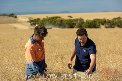 November 2017 / HARVEST_TUMBY_AM_145_171121_TRP8470