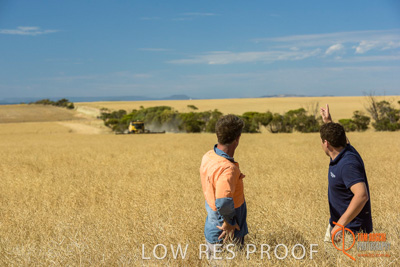 November 2017 / HARVEST_TUMBY_AM_149_171121_TRP8477