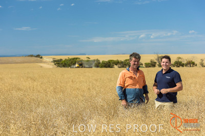 November 2017 / HARVEST_TUMBY_AM_151_171121_TRP8482